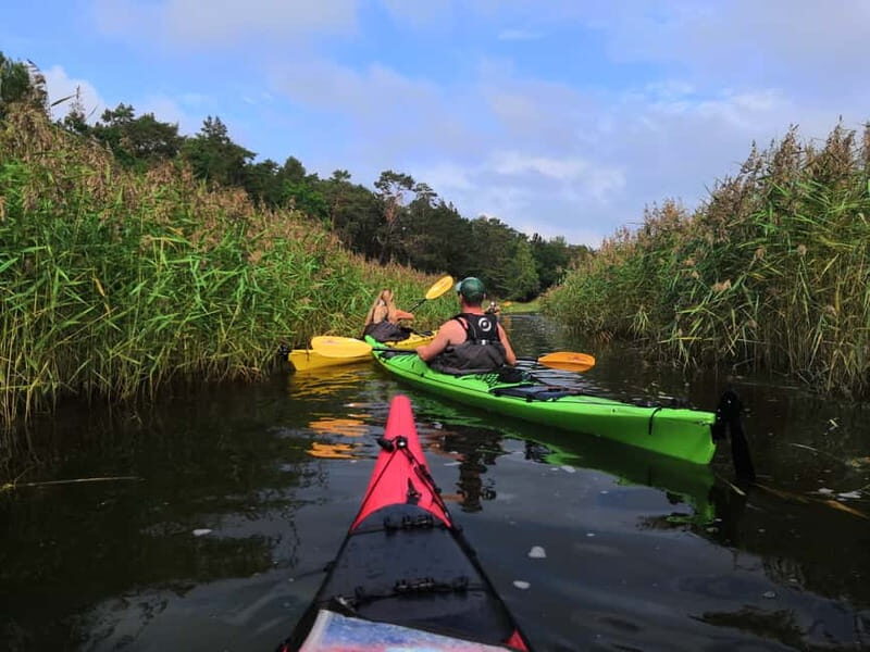 Stockholm Archipelago: Fun-Day Kayaking with Island Lunch - Why This Tour Offers Real Value
