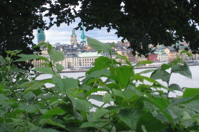 Stockholm Top attractions all-inclusive Gran Tour - Who Should Book This Tour?