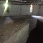 Stone Town and Prison Island Private Tour in Zanzibar - The Crystal-clear Journey to Prison Island