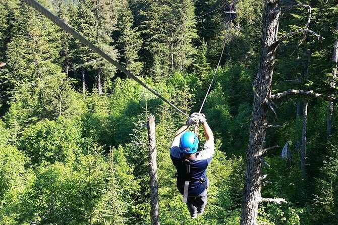 Stoney Creek Canopy Adventure - The Reviews: Authentic Feedback from Fellow Travelers