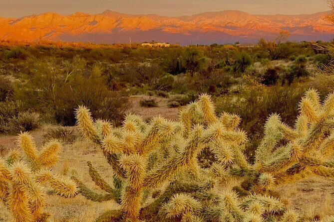 Stunning Sunset or Sunrise Guided Hiking Adventure in Phoenix - Guides and Personalization