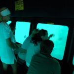 Submarine Excursion in Sharm El Sheikh - What to Expect from the Itinerary