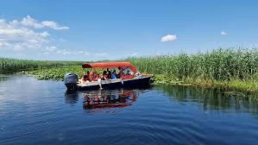 Sulina: Danube Delta Boat Tour with Wildlife Spotting