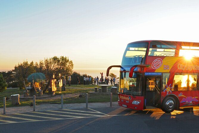 Summer Sunset Bus Tour in Cape Town - What’s Included and What’s Not