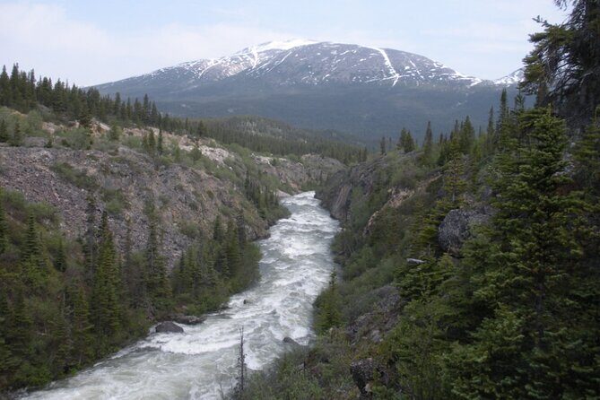 Summit Experience & Yukon Suspension Bridge Tour - Practical Details and Value