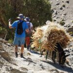 Summiting and Hiking the Atlas Mountains Day Trek from Marrakech - What Makes This Tour Stand Out?