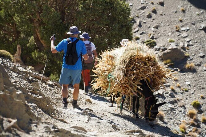 Summiting and Hiking the Atlas Mountains Day Trek from Marrakech - What Makes This Tour Stand Out?