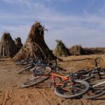 Suncycling in Marrakech's Palm Groove - Breakfast Included - Authentic Experiences and Review Highlights