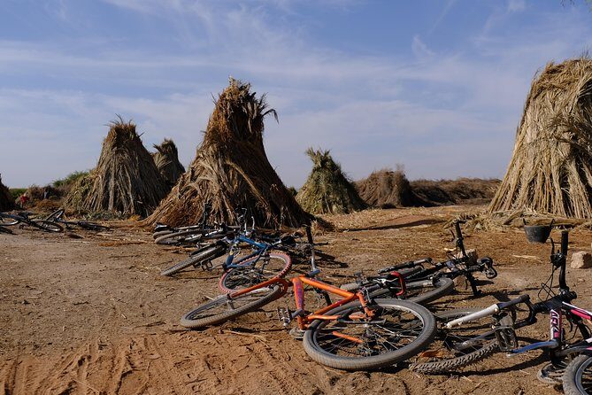 Suncycling in Marrakech's Palm Groove - Breakfast Included - Authentic Experiences and Review Highlights