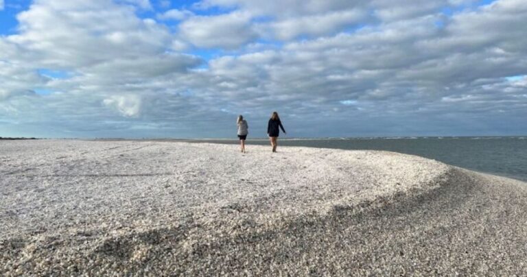 Sunrise and Shine 10,000 Islands Shelling Tour - Itinerary Breakdown
