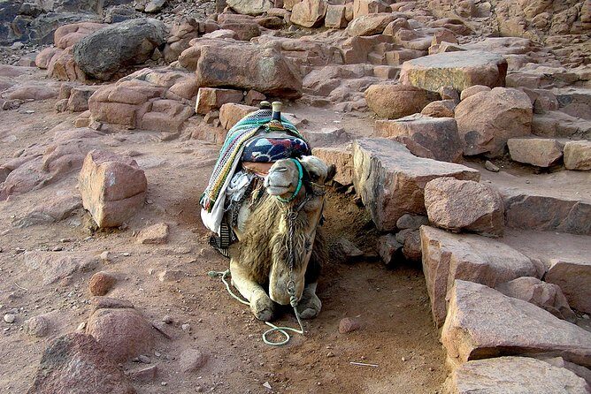 Sunrise at Mt.Sinai and St.Catherine monastery. Entrance included - Practical Details: What You Need to Know