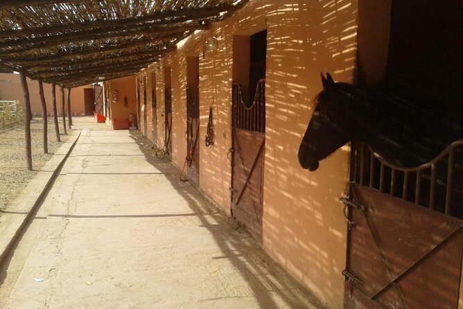 Sunrise Balloon Flight Berber Breakfast & Camel Ride in marrakesh - The Hot Air Balloon Adventure