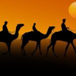 Sunrise Desert Safari from Abu Dhabi - What Travelers Love About This Tour