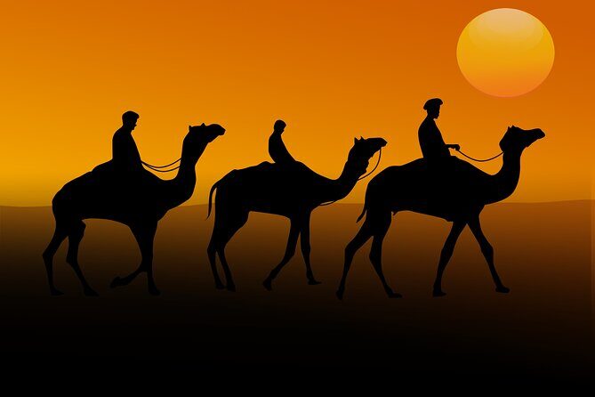 Sunrise Desert Safari from Abu Dhabi - What Travelers Love About This Tour