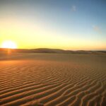 Sunrise Desert Safari in Qatar: An Unforgettable Adventure - Why This Tour Offers Great Value