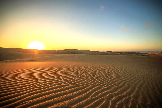 Sunrise Desert Safari in Qatar: An Unforgettable Adventure - Why This Tour Offers Great Value