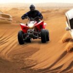 Sunrise Desert Safari With Quad Bike and Camel ride - What to Expect from the Sunrise Desert Safari