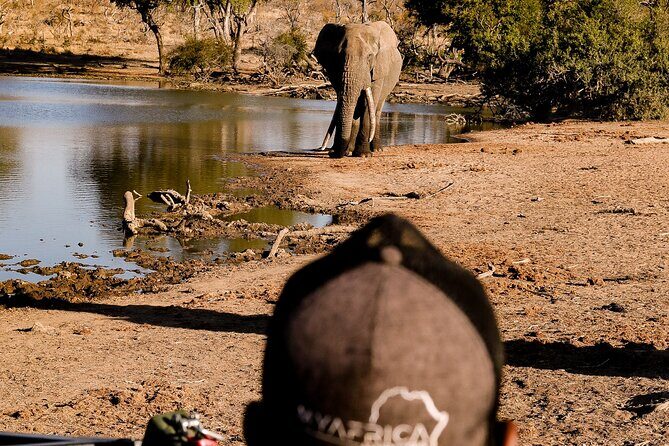 Sunrise Game Drive in Big5 Reserve - The Experience: What to Expect from Start to Finish
