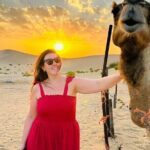 Sunrise Safari in Abu Dhabi's Desert - Is It Worth the Price?