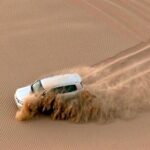 Sunrise Safari - Private car - An In-Depth Look at the Sunrise Safari Experience