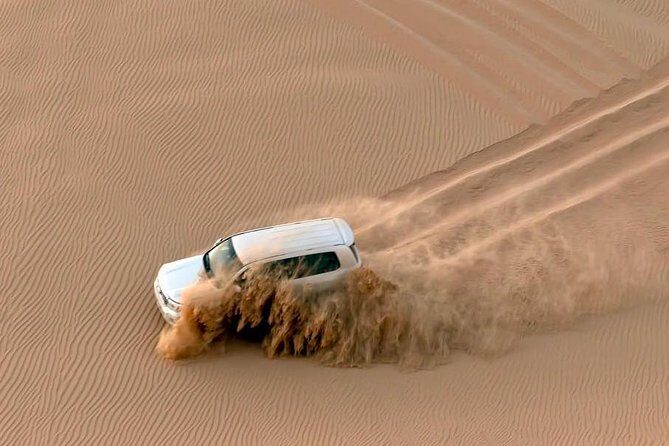 Sunrise Safari - Private car - An In-Depth Look at the Sunrise Safari Experience