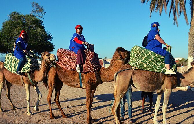 Sunset camel ride and barbecue dinner in Agadir - Who Is This Tour Best For?