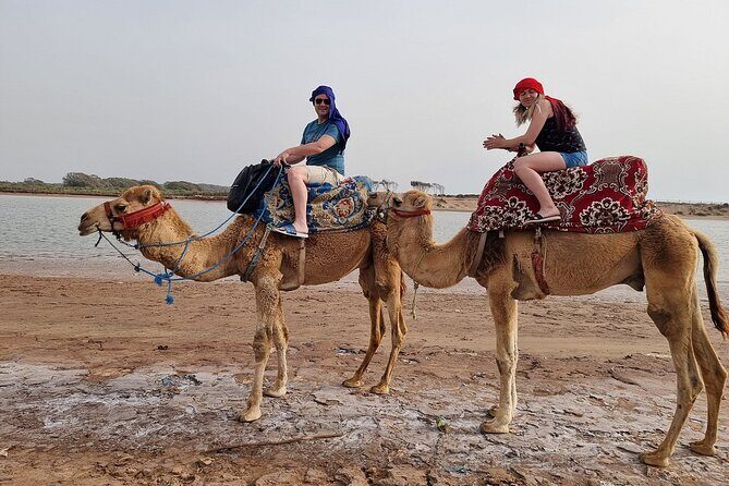 Sunset Camel Ride in Agadir with Dinner in Habitant House - Who Would Love This Experience?