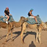 Sunset camel ride in Agadir with transport, tea and cakes. - Detailed Itinerary Breakdown