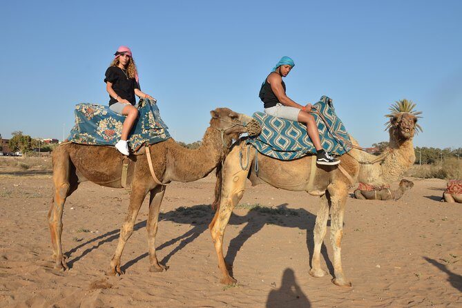 Sunset camel ride in Agadir with transport, tea and cakes. - Detailed Itinerary Breakdown
