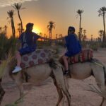 Sunset Camel Ride in the Palm Grove of Marrakech - FAQ