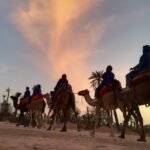 Sunset Camel Ride in the Palm Grove Of Marrakech - Authentic Experiences Based on Guest Feedback