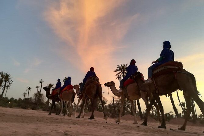 Sunset Camel Ride in the Palm Grove Of Marrakech - Authentic Experiences Based on Guest Feedback