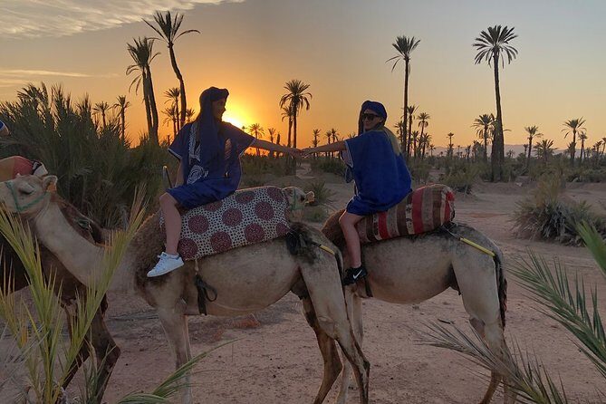 Sunset Camel Ride in the Palm Grove of Marrakech - FAQ