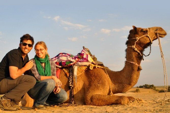 Sunset Camel Ride Including BBQ Dinner From Ras Al Khaimah - Analyzing the Value & Realities