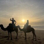 Sunset Camel Ride on Achakkar Beach including Traditional Dinner - Practical Details and What to Expect