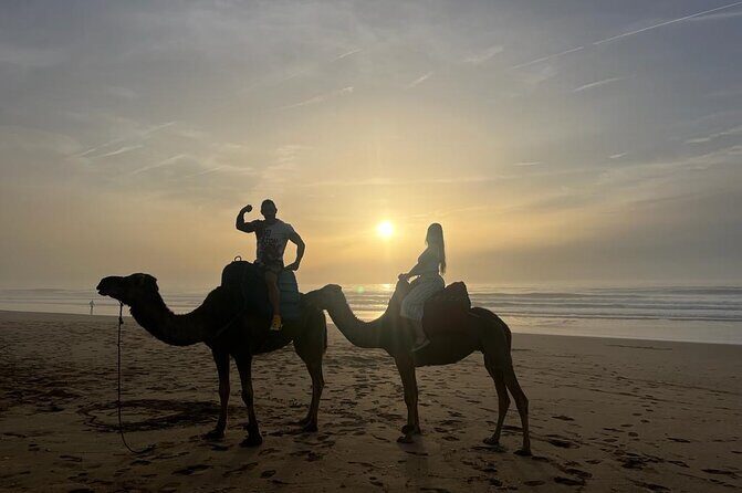 Sunset Camel Ride on Achakkar Beach including Traditional Dinner - Practical Details and What to Expect