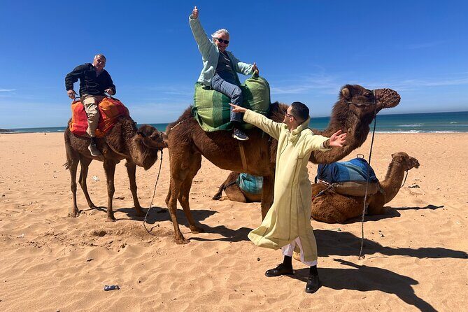 Sunset Camel Ride on Achakkar Beach - Why This Tour Works for Different Travelers