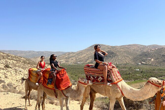 Sunset Camel Ride tour with Barbecue dinner in the beach - Final Thoughts
