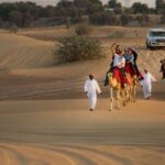 Sunset Camel Trekking with Falcon Show & VIP BBQ Dinner - What Makes This Tour Stand Out?