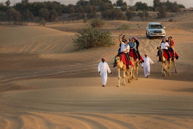 Sunset Camel Trekking with Falcon Show & VIP BBQ Dinner - What Makes This Tour Stand Out?