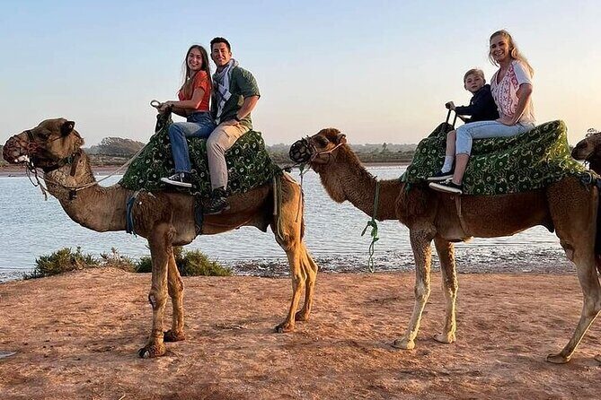 Sunset camel with barbecue dinner - A Closer Look at the Sunset Camel Ride and Dinner Experience