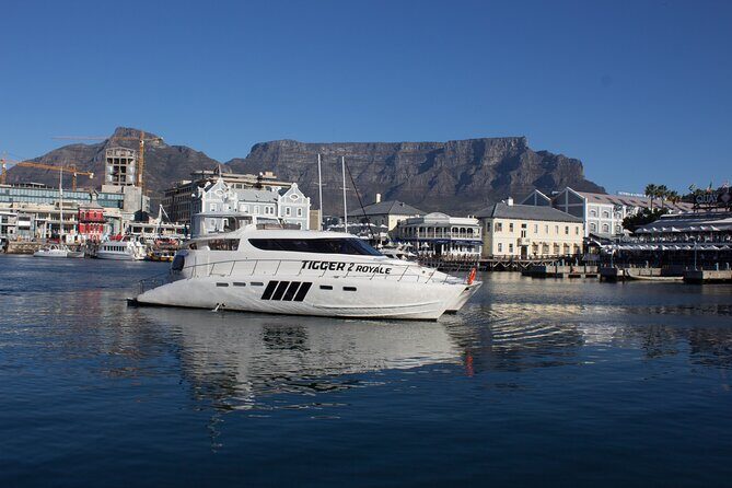 Sunset & Champagne Cruise for 2 pax on TIGGER 2 ( Guaranteed departure ) - The Experience: Why It’s Worth It