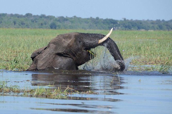 Sunset Cruise on Chobe River with Hotel Pickup from Kasane - Final Thoughts