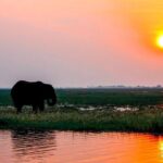 Sunset Cruise on the Zambezi River - The Itinerary – What to Expect