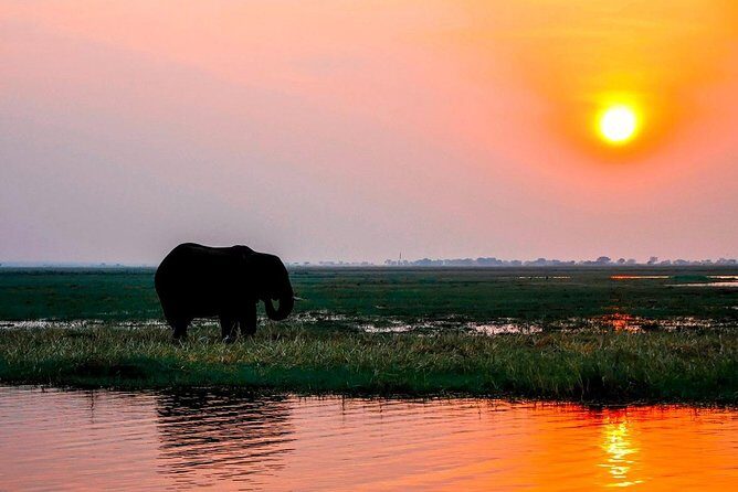 Sunset Cruise on the Zambezi River - The Itinerary – What to Expect