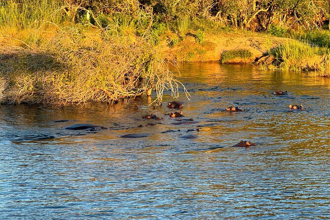Sunset Cruises on the Zambezi River from Victoria Falls - Practical Tips for Travelers