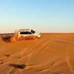 Sunset Desert Safari | Buffet Dinner and more - The Itinerary Breakdown: What You Can Expect