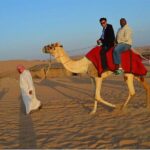 Sunset Desert Safari Dubai with BBQ Dinner and Live Shows - Final Thoughts
