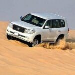 Sunset Desert Safari Dubai with Belly Dance & BBQ Dinner - Who Would Love This Tour?