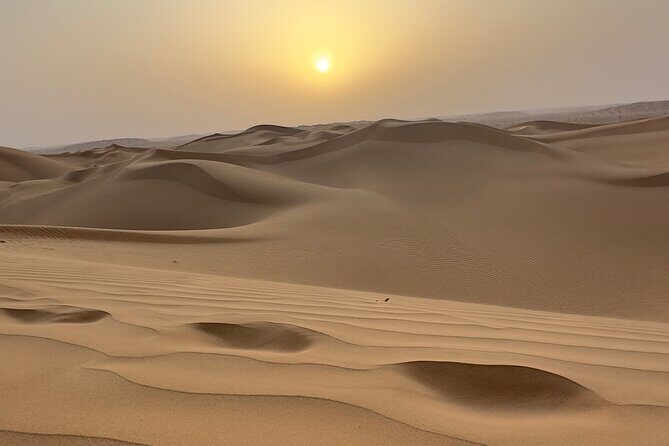 Sunset desert safari Salalah with Dinner in a Bedouins camp - Exploring the Itinerary in Detail